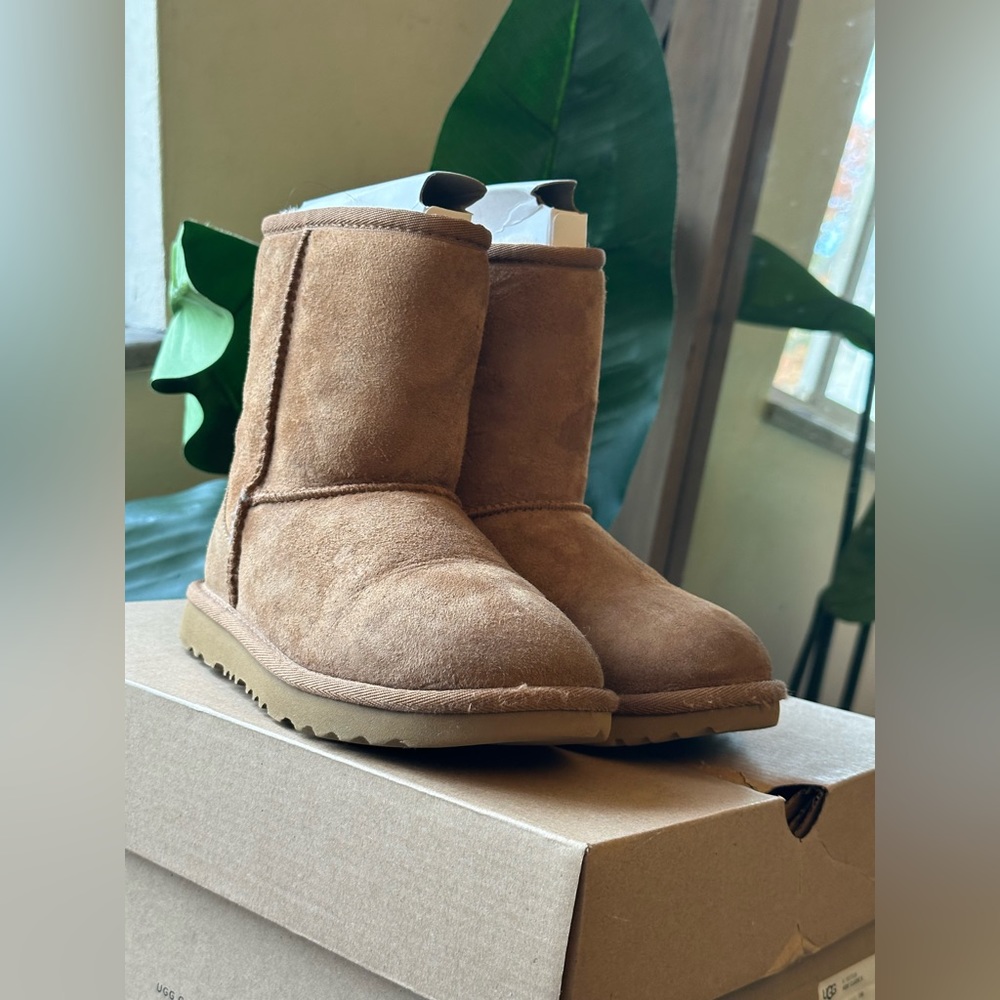 Kids Classic Uggs chestnut